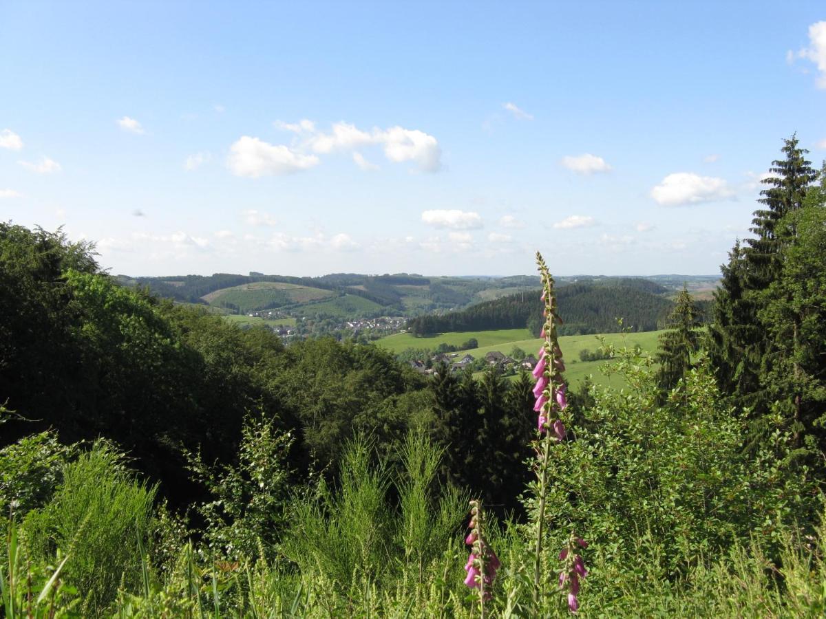 Apartmán Urlaub Im Naturgarten Bergneustadt Exteriér fotografie